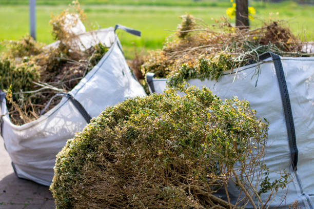 Best Full-Service Junk Removal  in Northumberland, PA